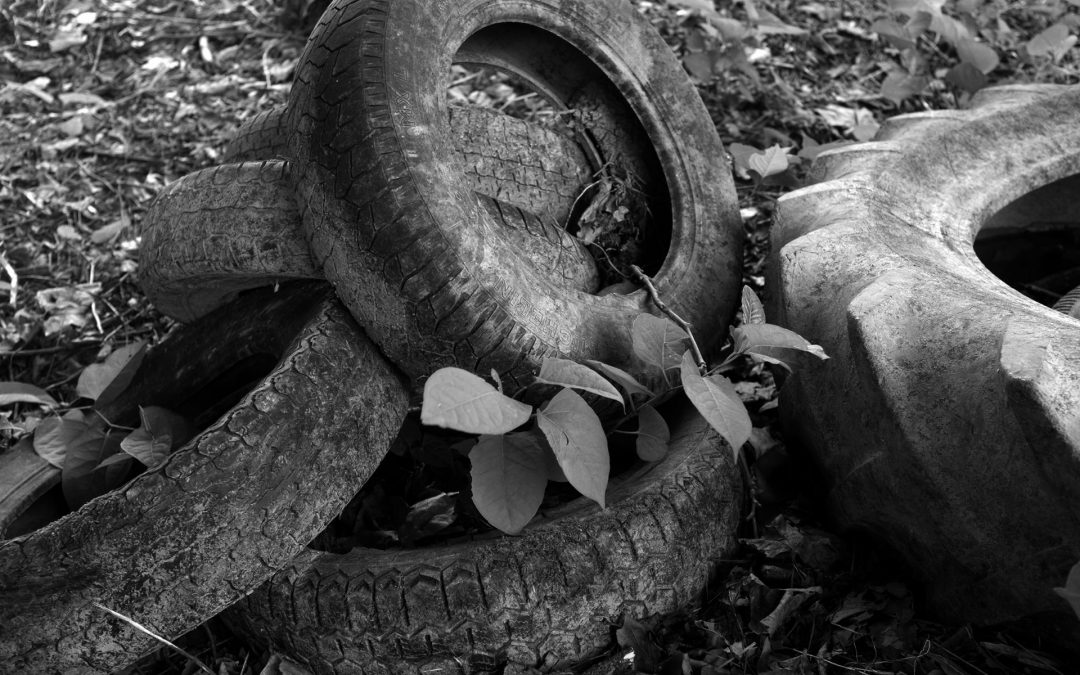 Carrefours – Jana Lottenburger