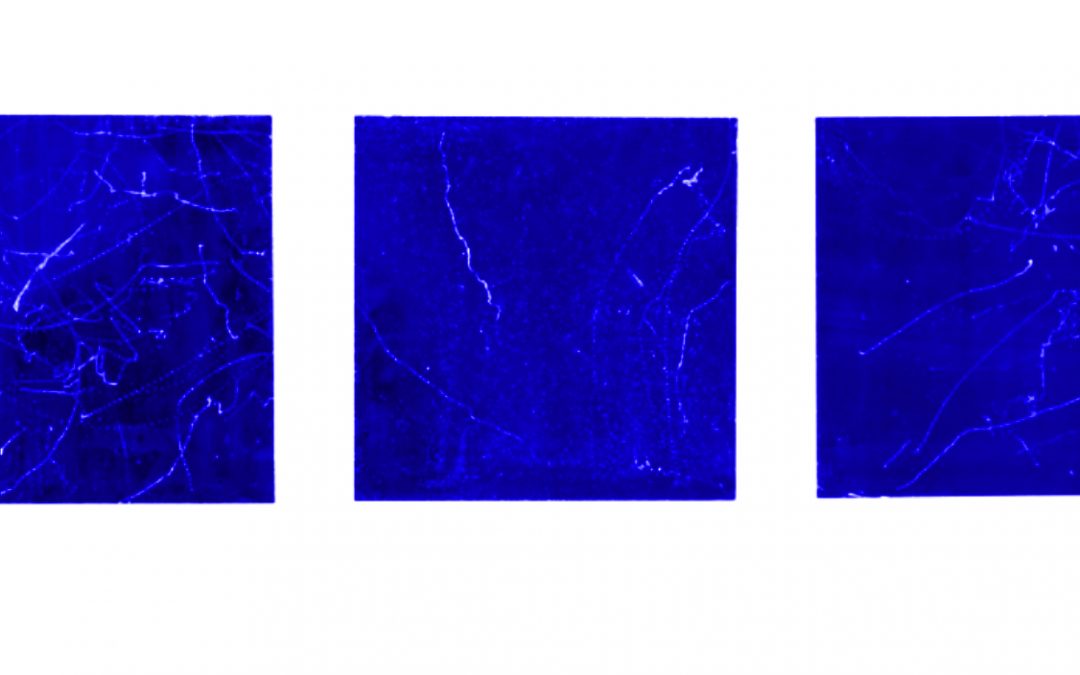 Carrefours – Jana Lottenburger